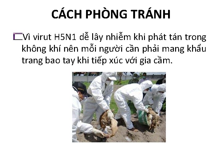 CÁCH PHÒNG TRÁNH Vì virut H 5 N 1 dễ lây nhiễm khi phát