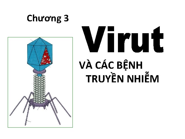 Chương 3 VÀ CÁC BỆNH TRUYỀN NHIỄM 