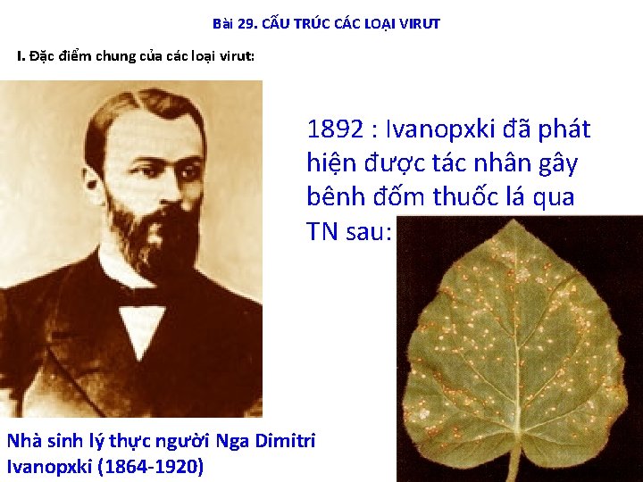 Bài 29. CẤU TRÚC CÁC LOẠI VIRUT I. Đặc điểm chung của các loại Bài 29. CẤU TRÚC CÁC LOẠI VIRUT I. Đặc điểm chung của các loại