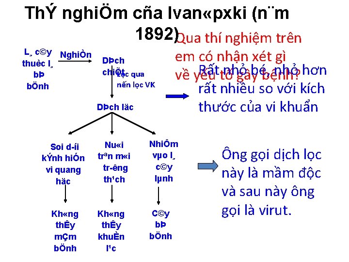 ThÝ nghiÖm cña Ivan «pxki (n¨m 1892)Qua thí nghiệm trên L¸ c©y NghiÒn thuèc ThÝ nghiÖm cña Ivan «pxki (n¨m 1892)Qua thí nghiệm trên L¸ c©y NghiÒn thuèc