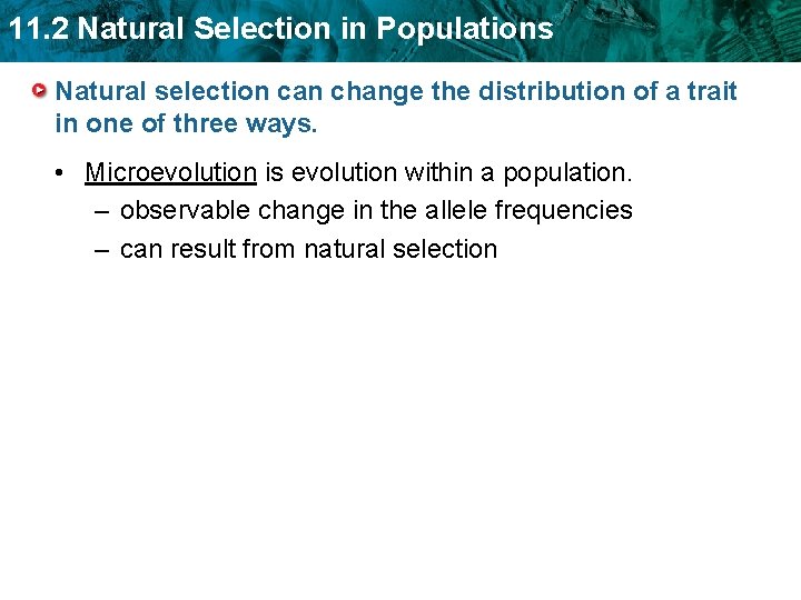 11. 2 Natural Selection in Populations Natural selection can change the distribution of a