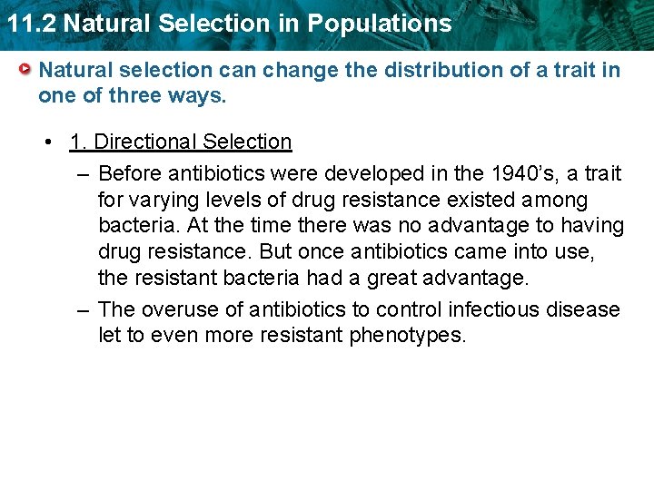 11. 2 Natural Selection in Populations Natural selection can change the distribution of a