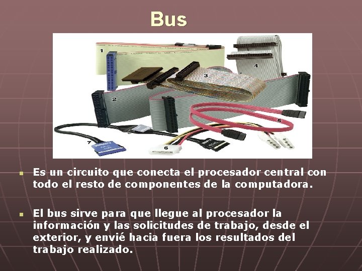 Bus n n Es un circuito que conecta el procesador central con todo el