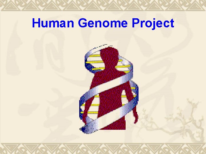 Human Genome Project 