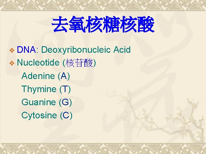 去氧核糖核酸 v DNA: Deoxyribonucleic Acid v Nucleotide (核苷酸) Adenine (A) Thymine (T) Guanine (G)