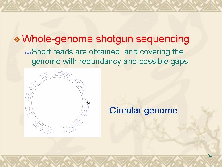 v Whole-genome shotgun sequencing Short reads are obtained and covering the genome with redundancy