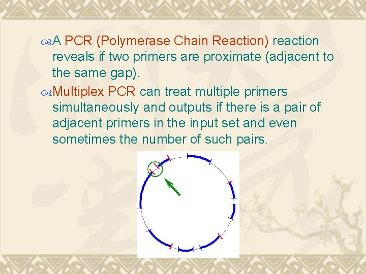  A PCR (Polymerase Chain Reaction) reaction reveals if two primers are proximate (adjacent