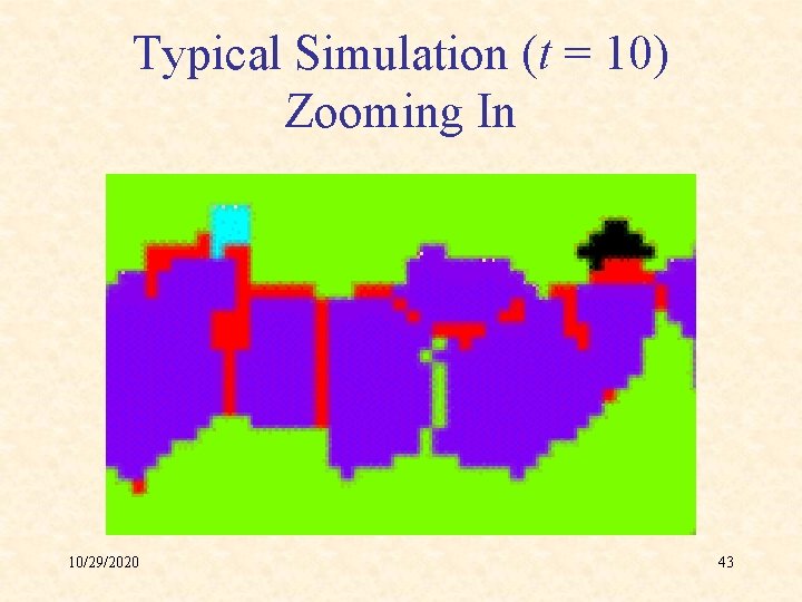 Typical Simulation (t = 10) Zooming In 10/29/2020 43 