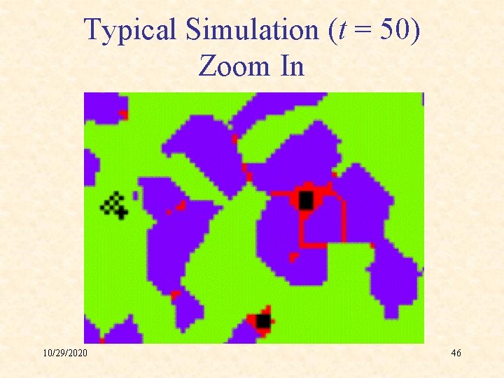 Typical Simulation (t = 50) Zoom In 10/29/2020 46 