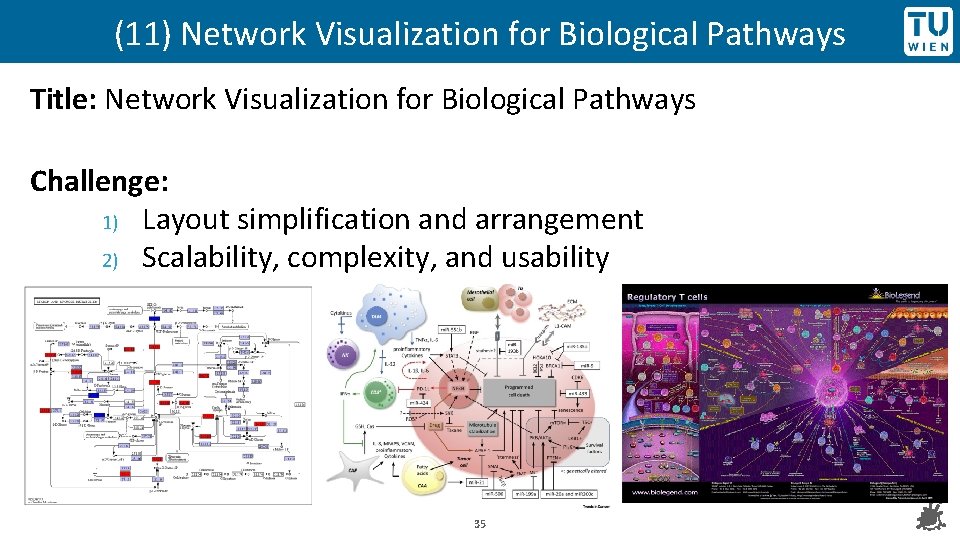 (11) Network Visualization for Biological Pathways Title: Network Visualization for Biological Pathways Challenge: 1)