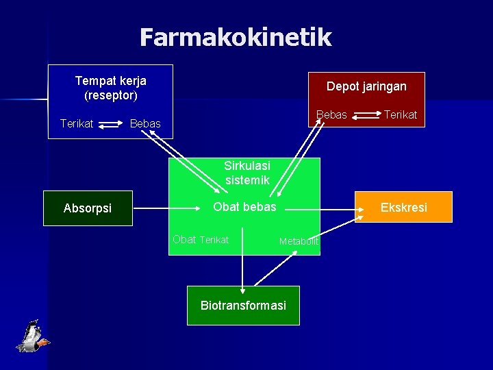 Farmakokinetik Tempat kerja (reseptor) Terikat Depot jaringan Bebas Terikat Sirkulasi sistemik Absorpsi Obat bebas Farmakokinetik Tempat kerja (reseptor) Terikat Depot jaringan Bebas Terikat Sirkulasi sistemik Absorpsi Obat bebas