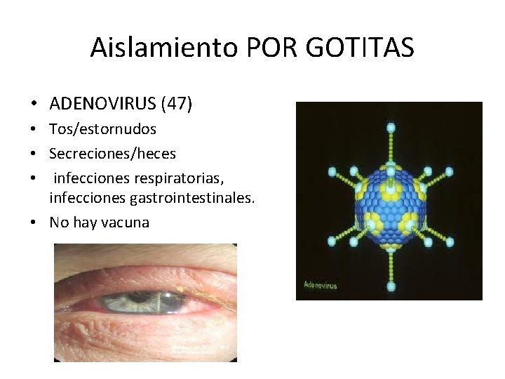 Aislamiento POR GOTITAS • ADENOVIRUS (47) • Tos/estornudos • Secreciones/heces • infecciones respiratorias, infecciones