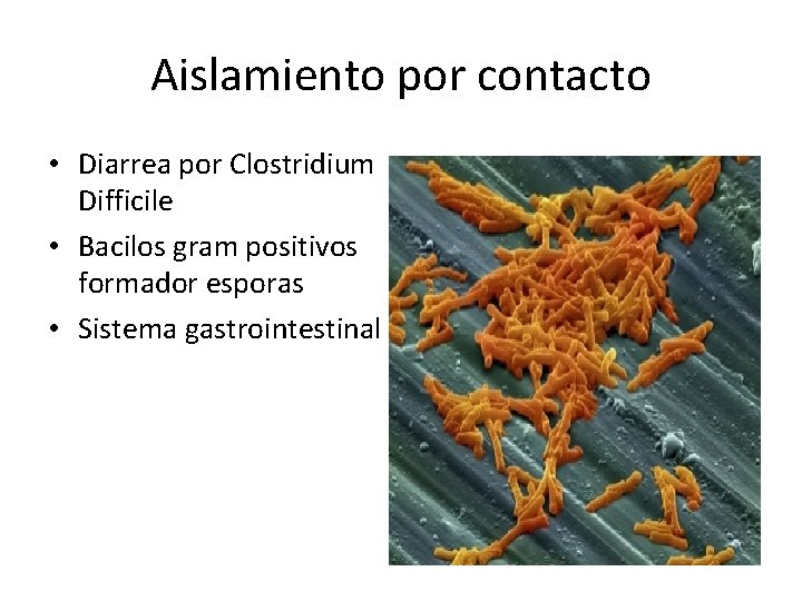 Aislamiento por contacto • Diarrea por Clostridium Difficile • Bacilos gram positivos formador esporas