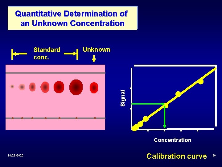 Quantitative Determination of an Unknown Concentration Unknown Signal Standard conc. Concentration 10/29/2020 Calibration curve