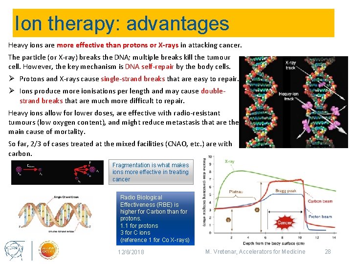 Ion therapy: advantages Heavy ions are more effective than protons or X-rays in attacking