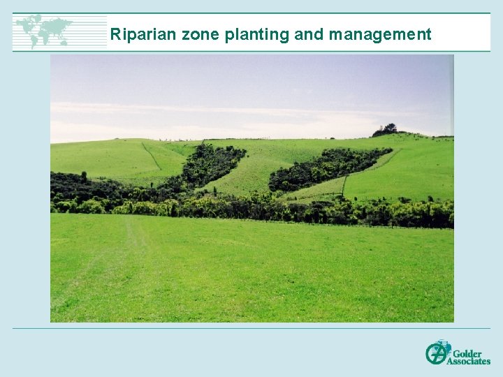 Riparian zone planting and management 