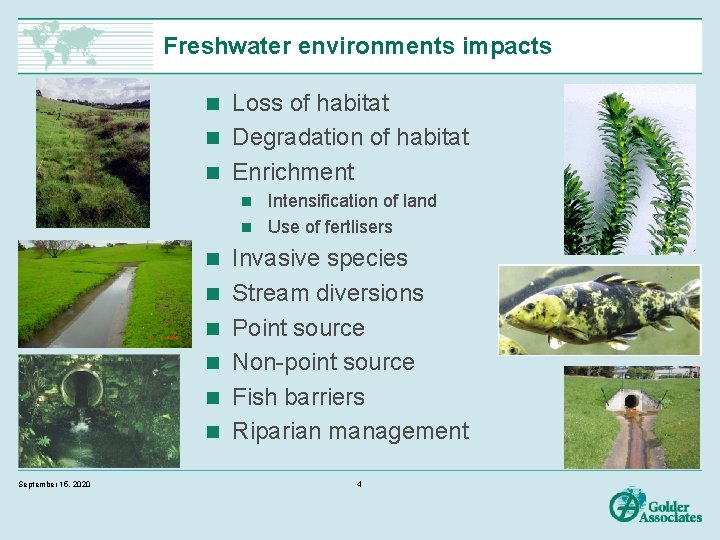 Freshwater environments impacts Loss of habitat n Degradation of habitat n Enrichment n Intensification