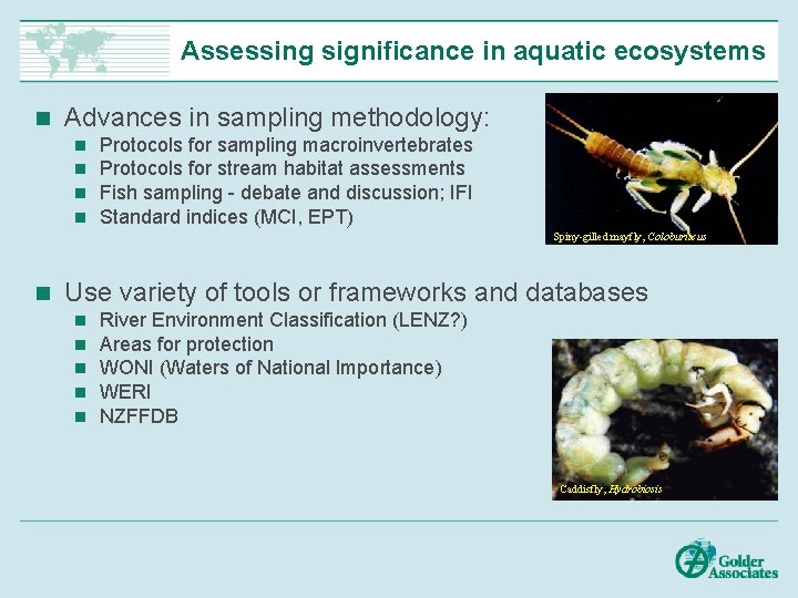 Assessing significance in aquatic ecosystems n Advances in sampling methodology: n n Protocols for
