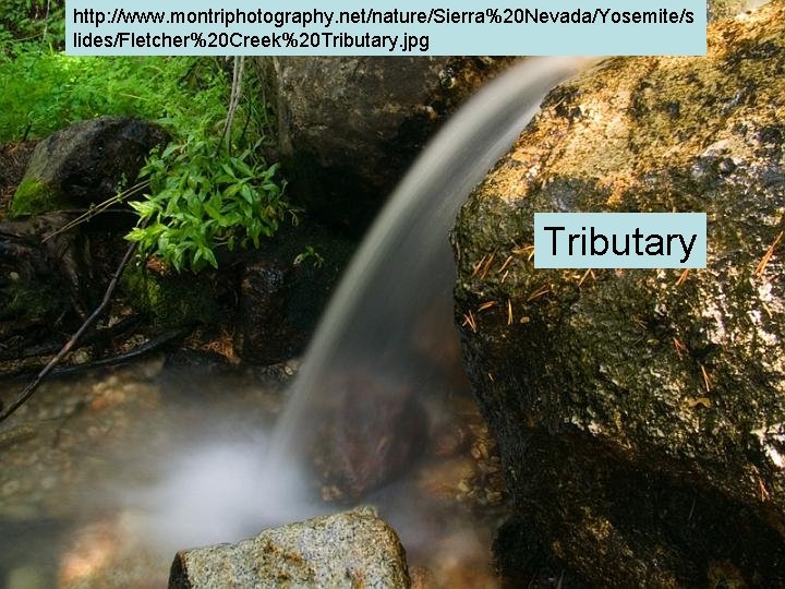 http: //www. montriphotography. net/nature/Sierra%20 Nevada/Yosemite/s lides/Fletcher%20 Creek%20 Tributary. jpg Tributary http: //www. montriphotography. net/nature/Sierra%20 Nevada/Yosemite/s lides/Fletcher%20 Creek%20 Tributary. jpg Tributary