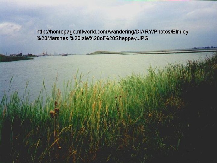 http: //homepage. ntlworld. com/wandering/DIARY/Photos/Elmley %20 Marshes, %20 Isle%20 of%20 Sheppey. JPG http: //homepage. ntlworld. com/wandering/DIARY/Photos/Elmley %20 Marshes, %20 Isle%20 of%20 Sheppey. JPG