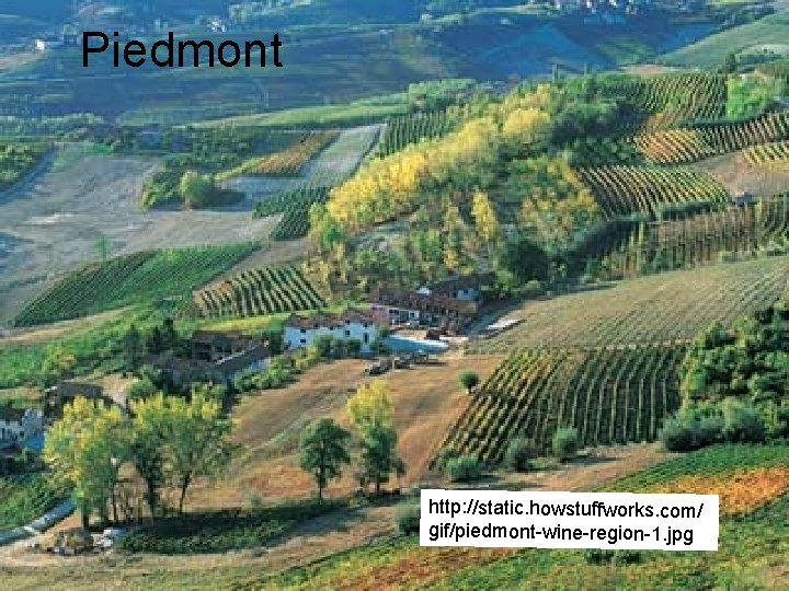 Piedmont http: //static. howstuffworks. com/ gif/piedmont-wine-region-1. jpg Piedmont http: //static. howstuffworks. com/ gif/piedmont-wine-region-1. jpg