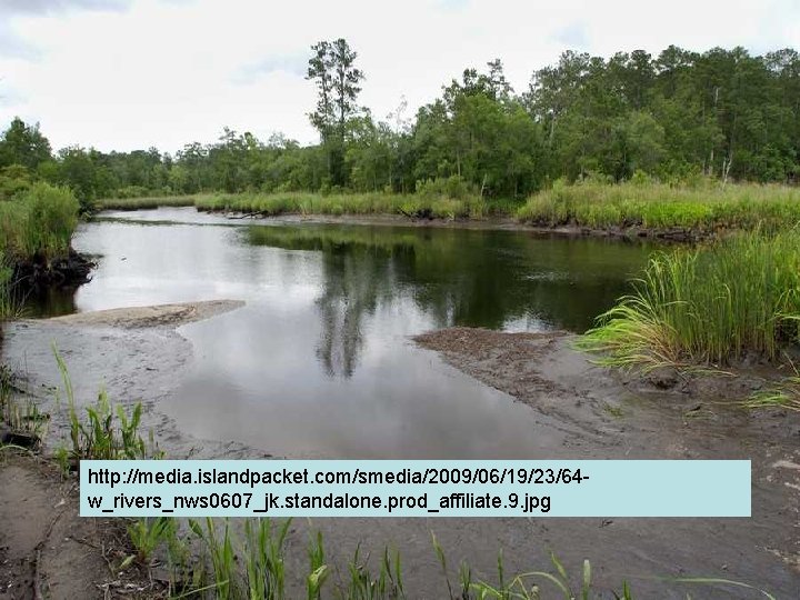 http: //media. islandpacket. com/smedia/2009/06/19/23/64 w_rivers_nws 0607_jk. standalone. prod_affiliate. 9. jpg http: //media. islandpacket. com/smedia/2009/06/19/23/64 w_rivers_nws 0607_jk. standalone. prod_affiliate. 9. jpg
