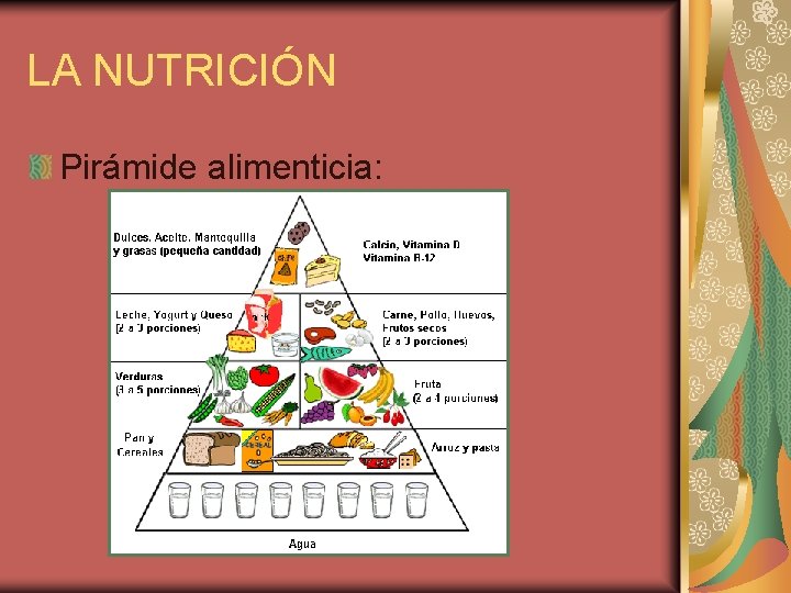 LA NUTRICIÓN Pirámide alimenticia: 