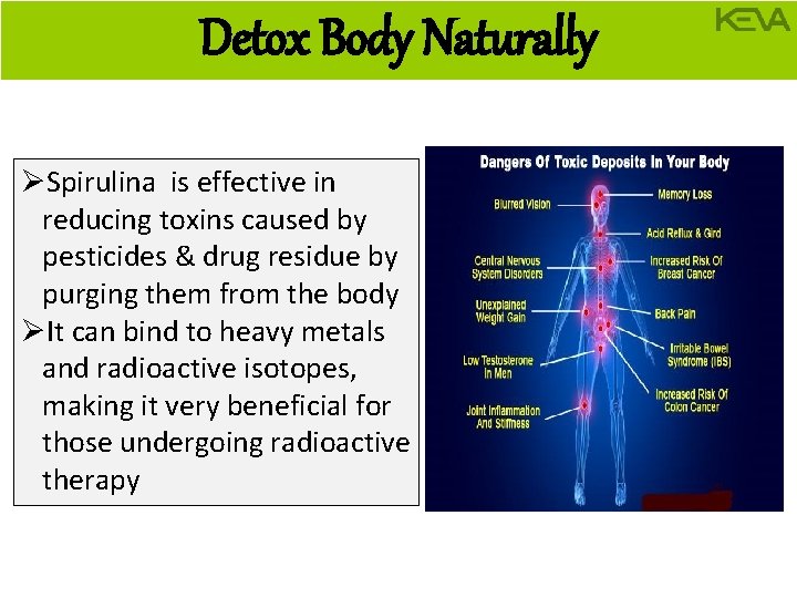 Detox Body Naturally ØSpirulina is effective in reducing toxins caused by pesticides & drug