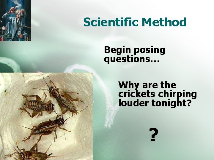 Scientific Method Begin posing questions… Why are the crickets chirping louder tonight? ? 