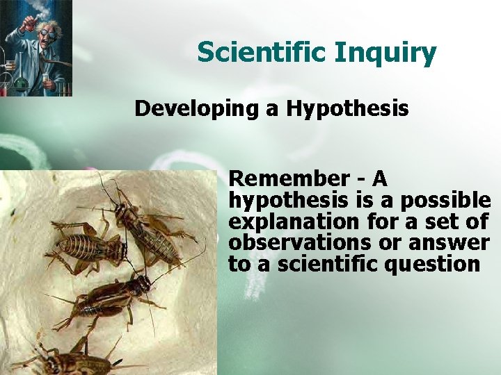 Scientific Inquiry Developing a Hypothesis Remember - A hypothesis is a possible explanation for
