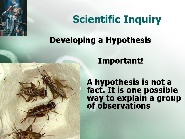 Scientific Inquiry Developing a Hypothesis Important! A hypothesis is not a fact. It is