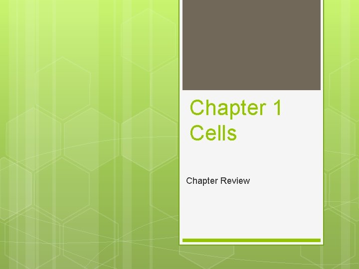 Chapter 1 Cells Chapter Review 
