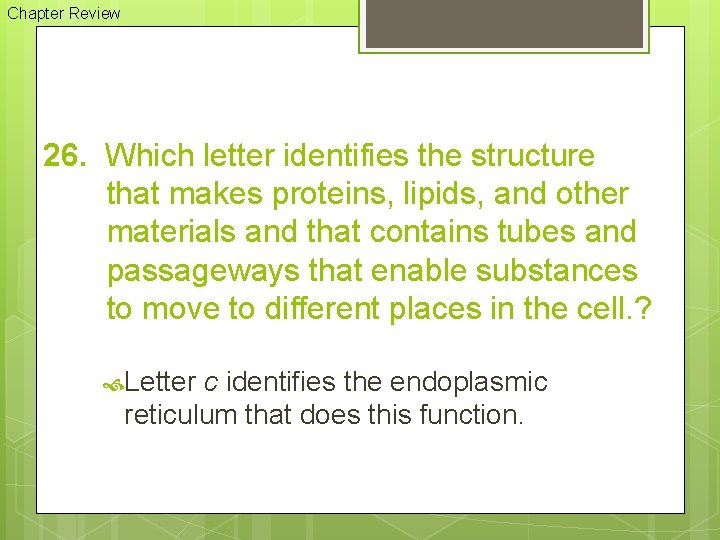 Chapter Review 26. Which letter identifies the structure that makes proteins, lipids, and other