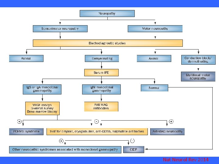 Nat Neurol Rev 2014 