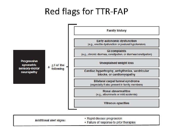 Red flags for TTR-FAP 