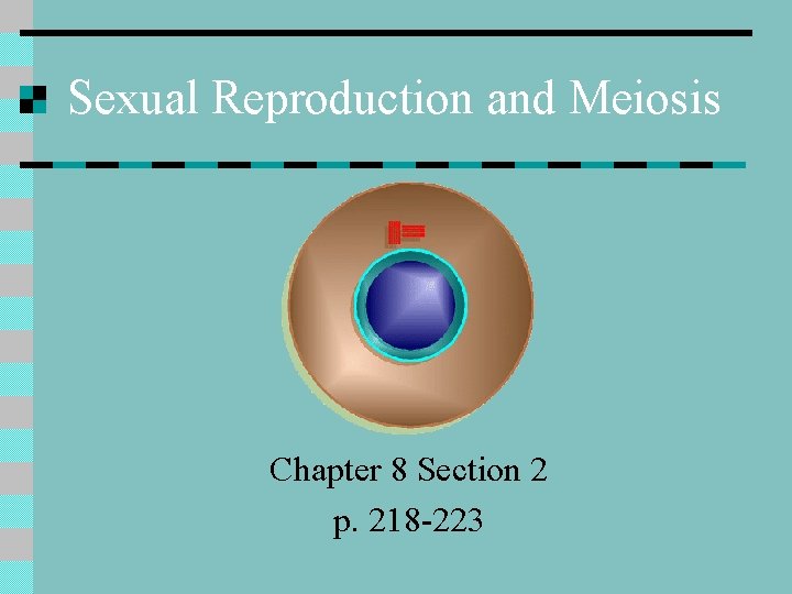 Sexual Reproduction and Meiosis Chapter 8 Section 2 p. 218 -223 