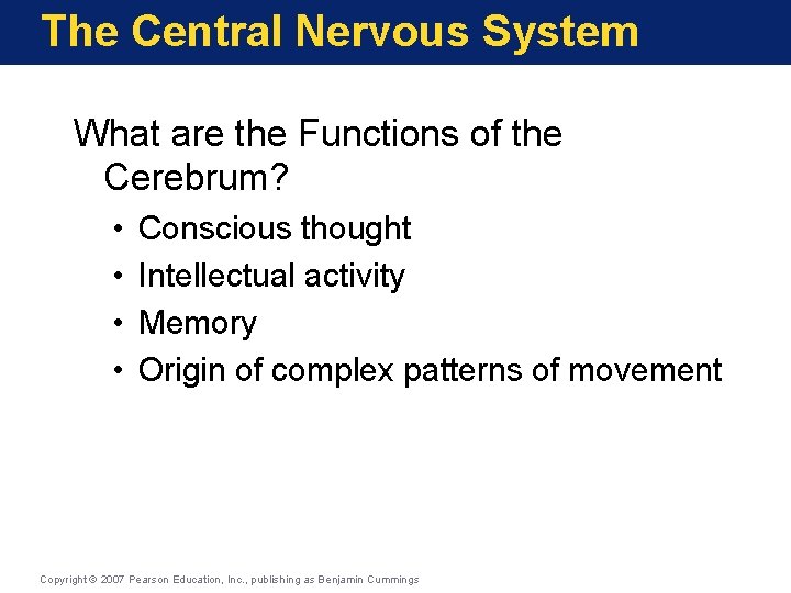 The Central Nervous System What are the Functions of the Cerebrum? • • Conscious