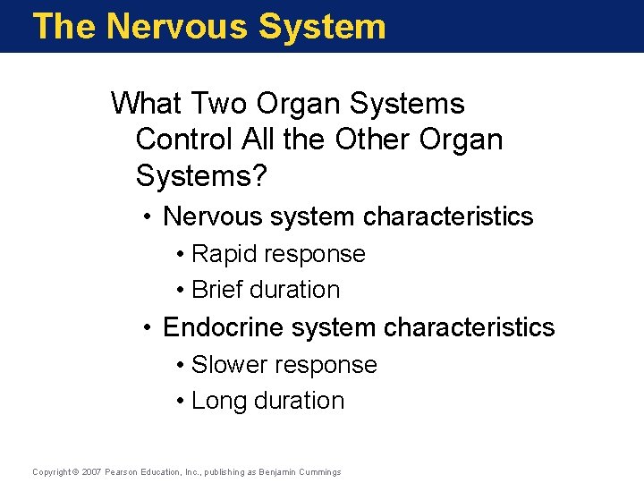 The Nervous System What Two Organ Systems Control All the Other Organ Systems? •