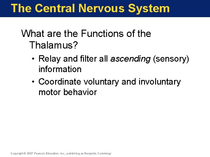 The Central Nervous System What are the Functions of the Thalamus? • Relay and