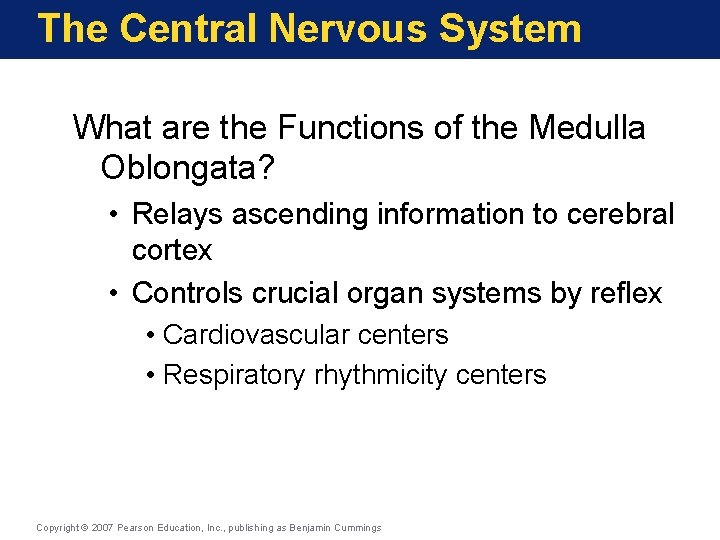 The Central Nervous System What are the Functions of the Medulla Oblongata? • Relays
