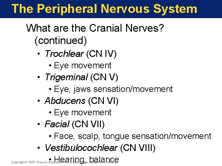 The Peripheral Nervous System What are the Cranial Nerves? (continued) • Trochlear (CN IV)