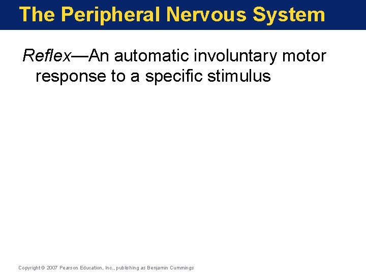 The Peripheral Nervous System Reflex—An automatic involuntary motor response to a specific stimulus Copyright