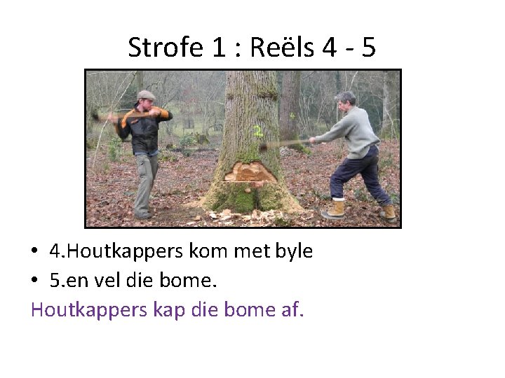 Strofe 1 : Reëls 4 - 5 • 4. Houtkappers kom met byle •