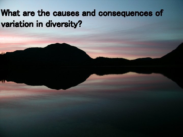 What are the causes and consequences of variation in diversity? 