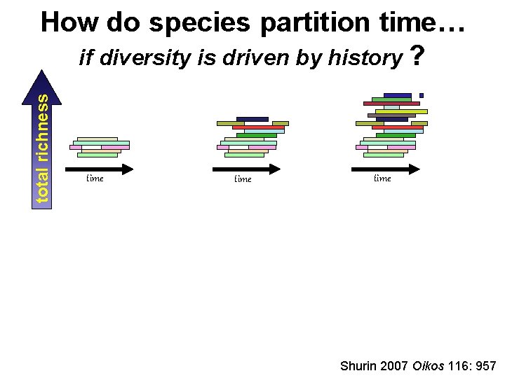 total richness How do species partition time… if diversity is driven by history ?