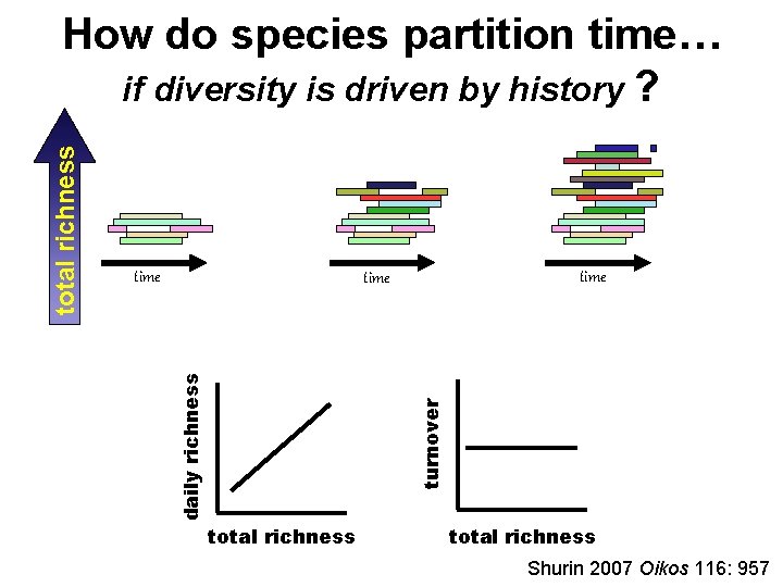 time turnover daily richness total richness How do species partition time… if diversity is