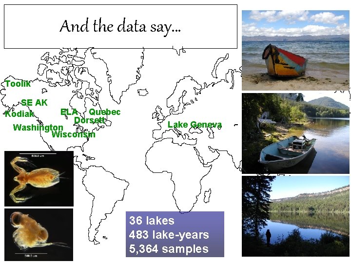 And the data say… Toolik SE AK Kodiak ELA Quebec Dorsett Washington Wisconsin Lake