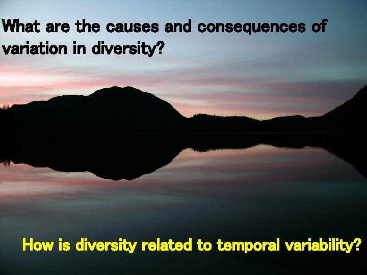 What are the causes and consequences of variation in diversity? How is diversity related