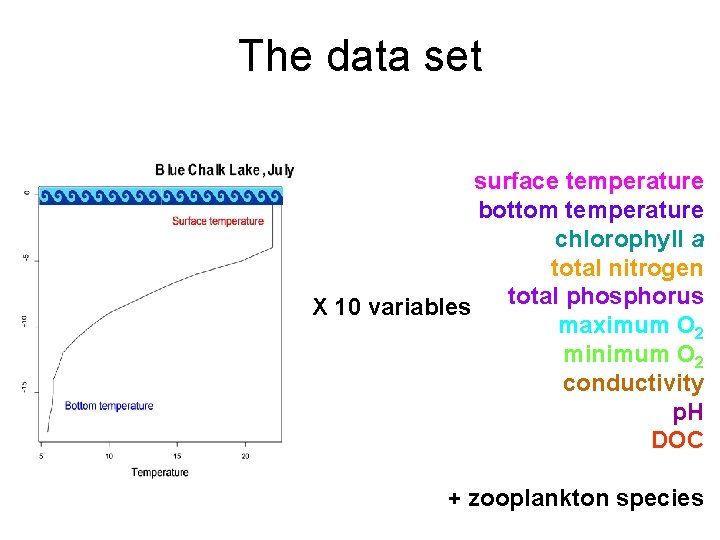 The data set surface temperature bottom temperature chlorophyll a total nitrogen total phosphorus X
