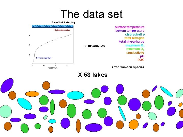 The data set X 10 variables surface temperature bottom temperature chlorophyll a total nitrogen